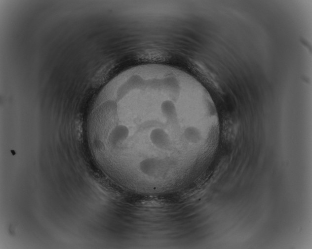 X0000091540259200709071110