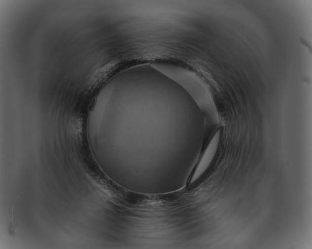 X0000091540260200709071110