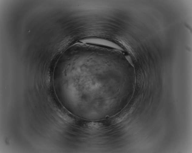 X0000091540261200709071110