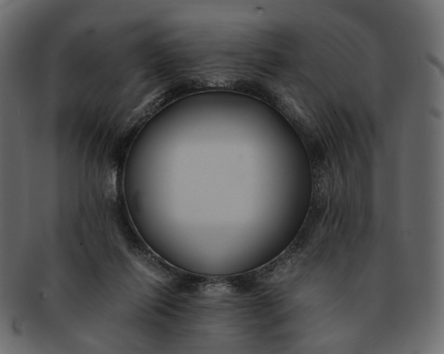 X0000091540262200709071110