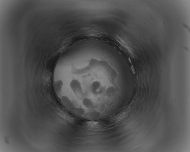 X0000091540265200709071111