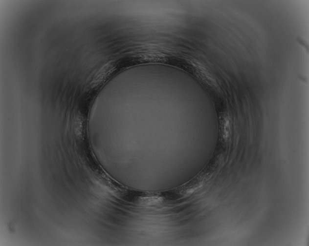 X0000091540266200709071111