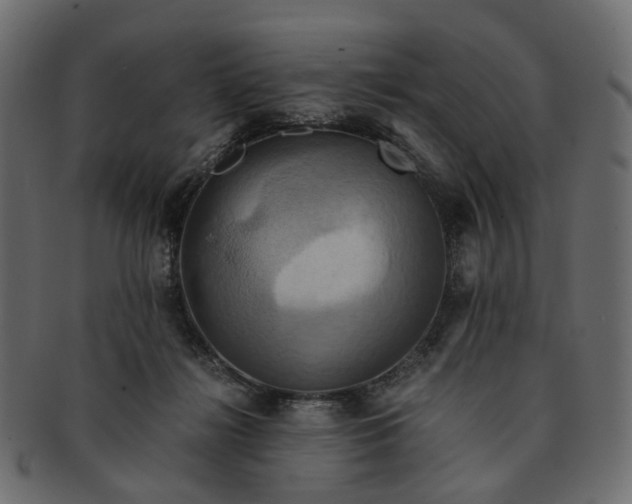 X0000091540268200709071111