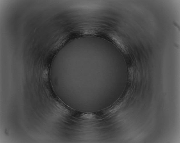 X0000091540269200709071111