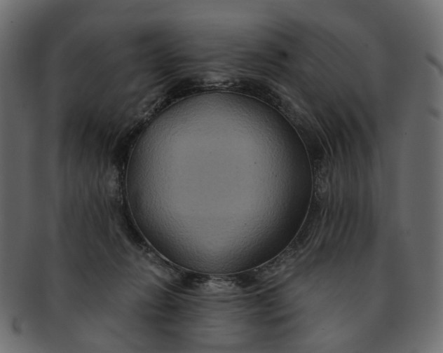 X0000091540270200709071111