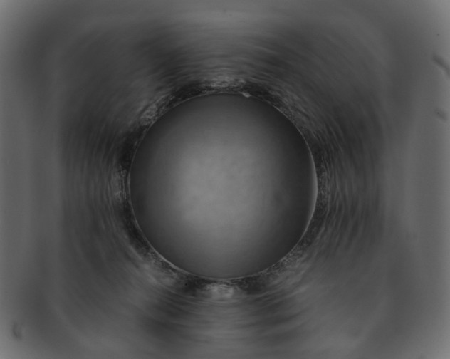 X0000091540272200709071111