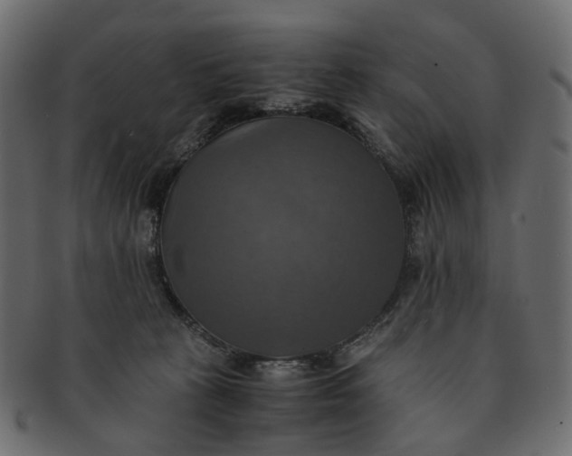 X0000091540273200709071111