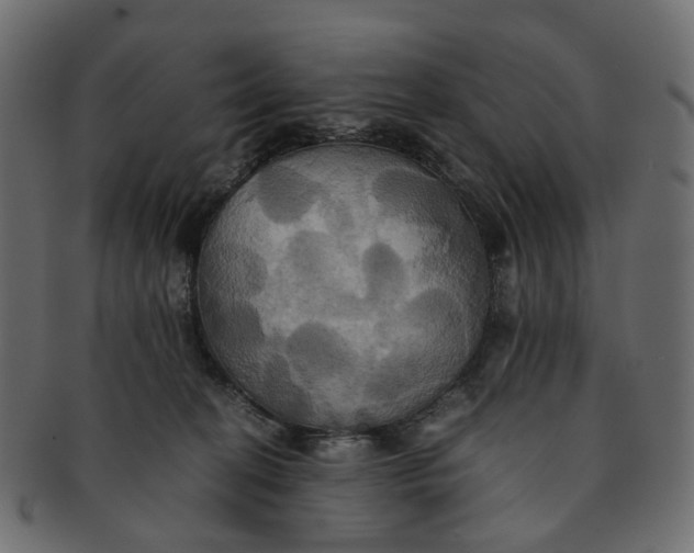 X0000091540274200709071111