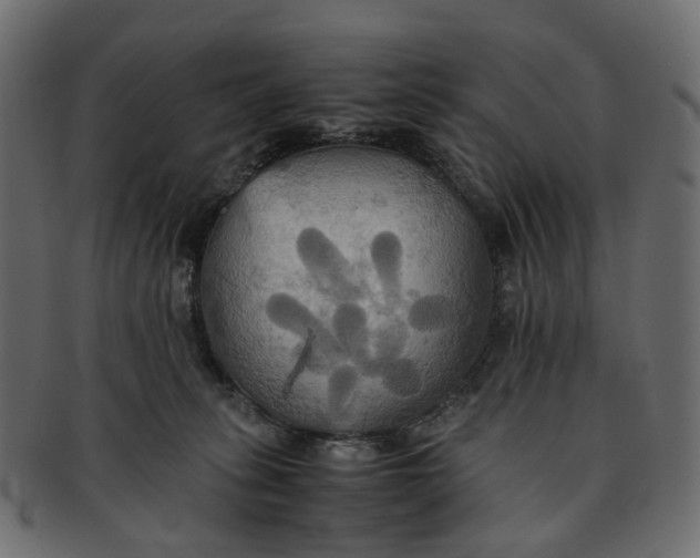 X0000091540275200709071111