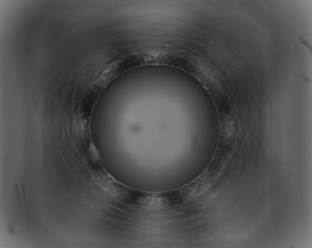 X0000091540276200709071111