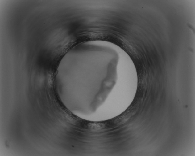 X0000091540277200709071111