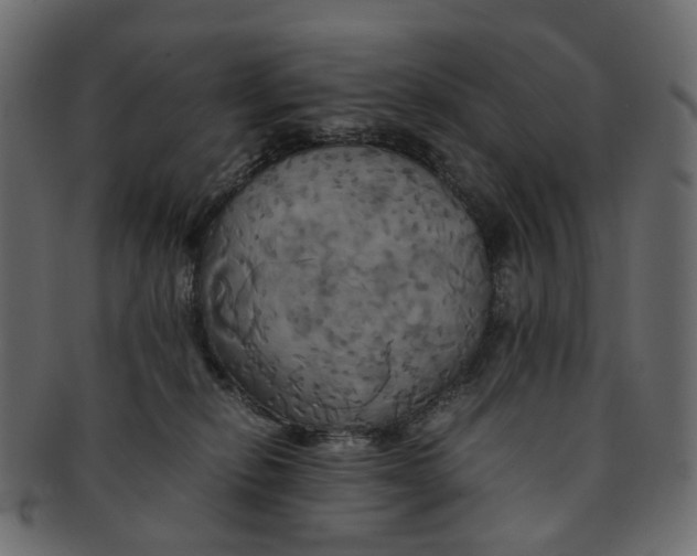 X0000091540278200709071111