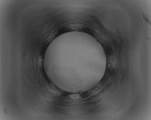 X0000091540279200709071111