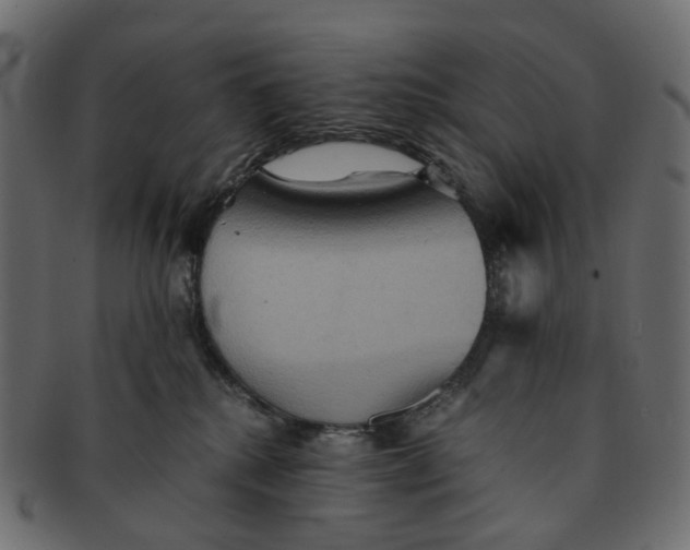 X0000091540280200709071111