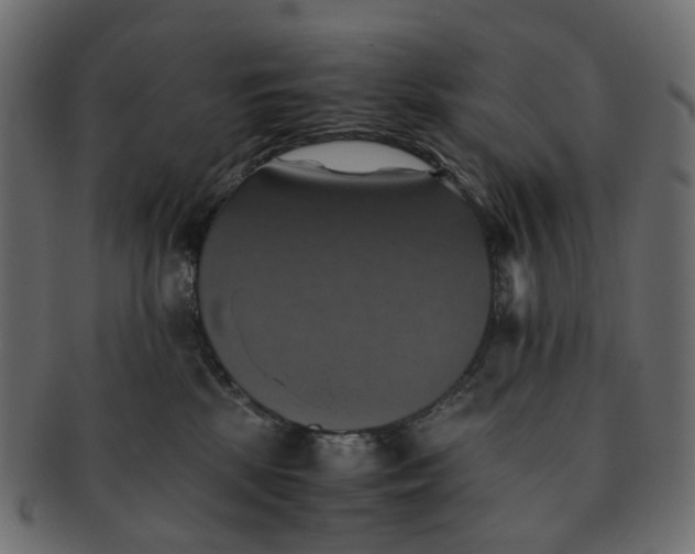 X0000091540281200709071111