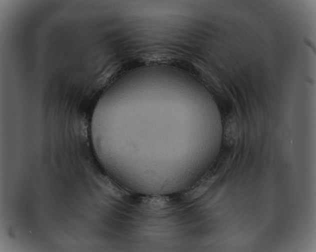 X0000091540282200709071111