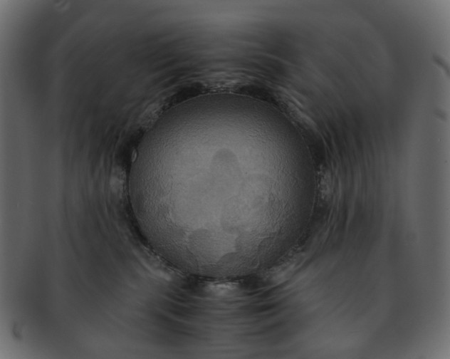 X0000091540283200709071111