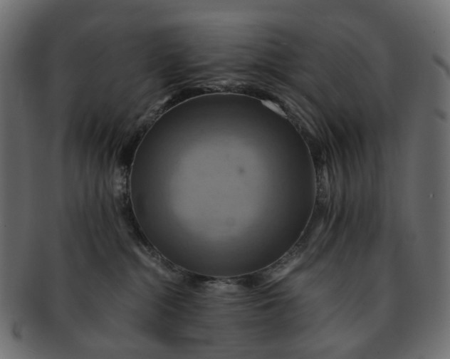 X0000091540284200709071111