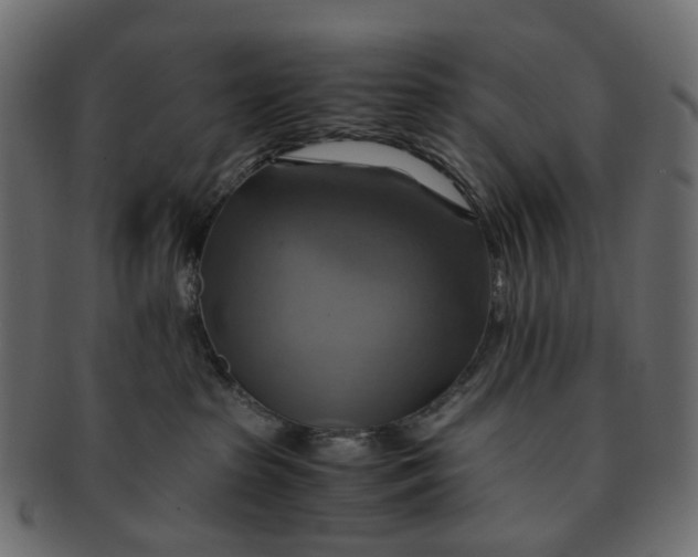 X0000091540285200709071111