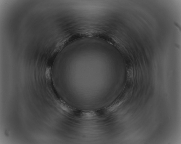 X0000091540286200709071111