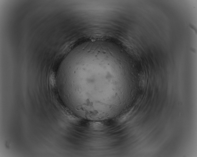 X0000091540287200709071111