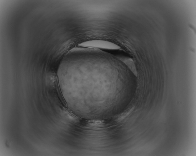 X0000091540288200709071111