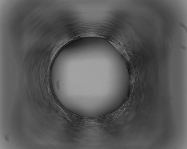 X0000091540289200709071110