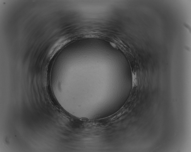 X0000091540291200709071110