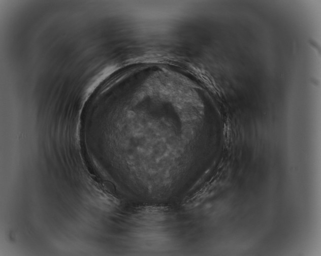 X0000091540292200709071110