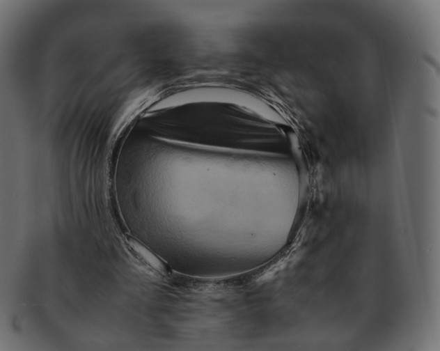 X0000091540293200709071110