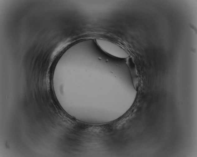 X0000091540294200709071110