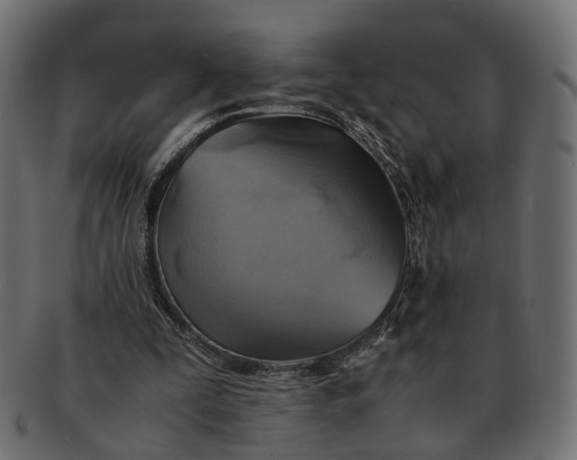 X0000091540295200709071110