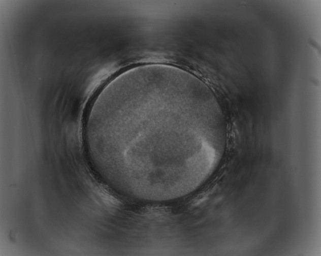 X0000091540296200709071110