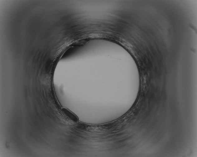 X0000091540297200709071110