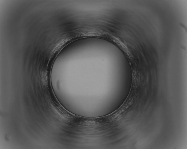 X0000091540298200709071110