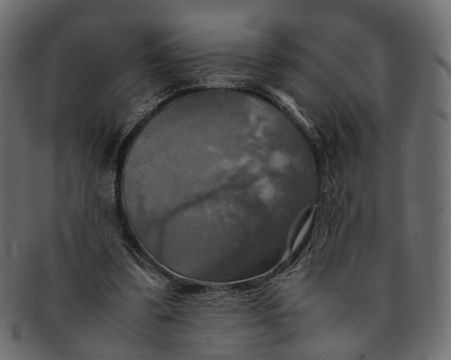 X0000091540299200709071110