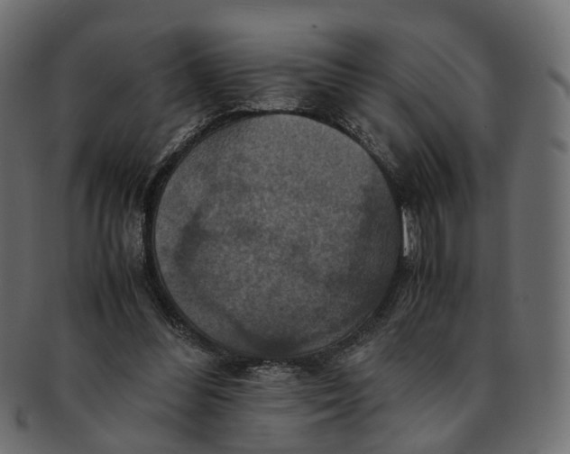 X0000091540300200709071110