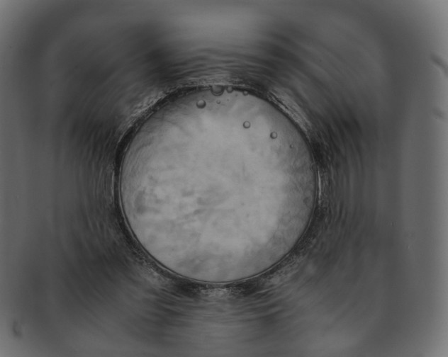 X0000091540301200709071110