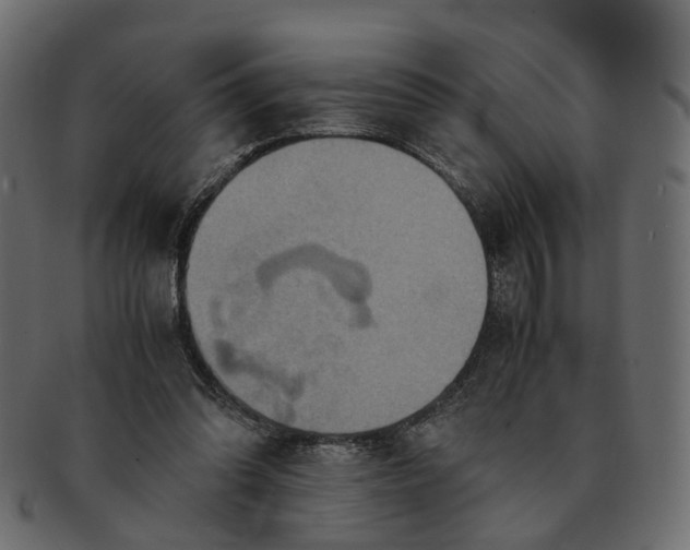 X0000091540302200709071110