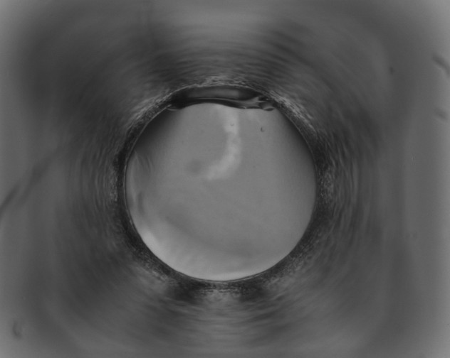 X0000091540303200709071110