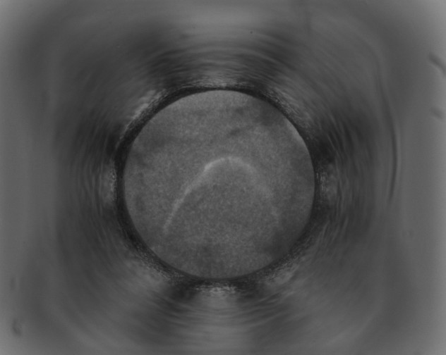 X0000091540304200709071110