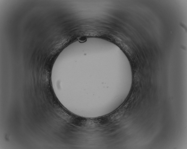 X0000091540305200709071110