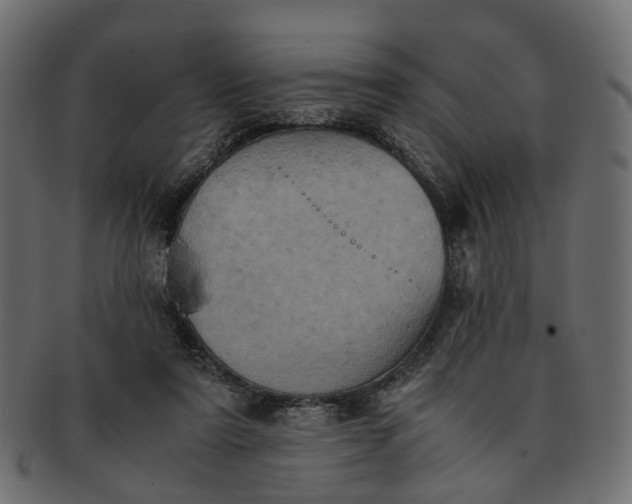 X0000091540307200709071110