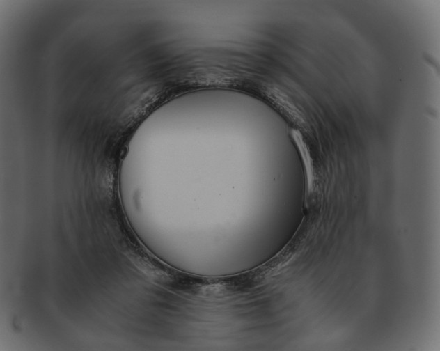 X0000091540309200709071110