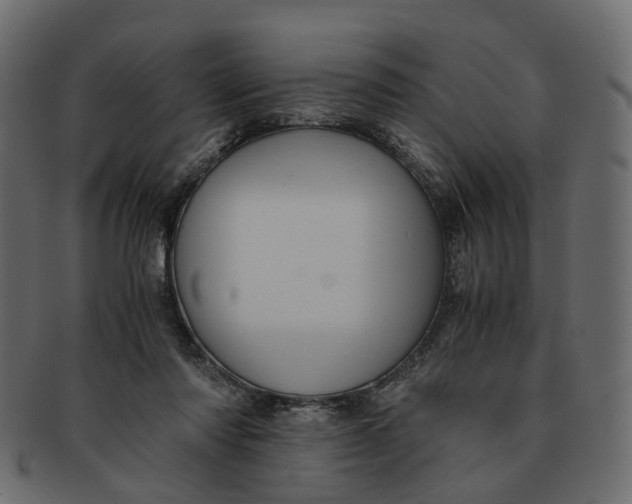 X0000091540310200709071110