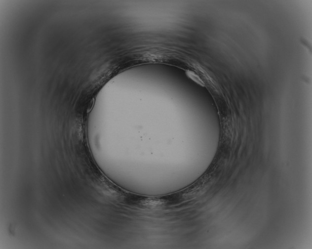 X0000091540313200709071110