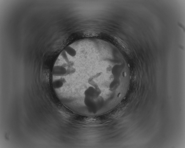 X0000091540315200709071110