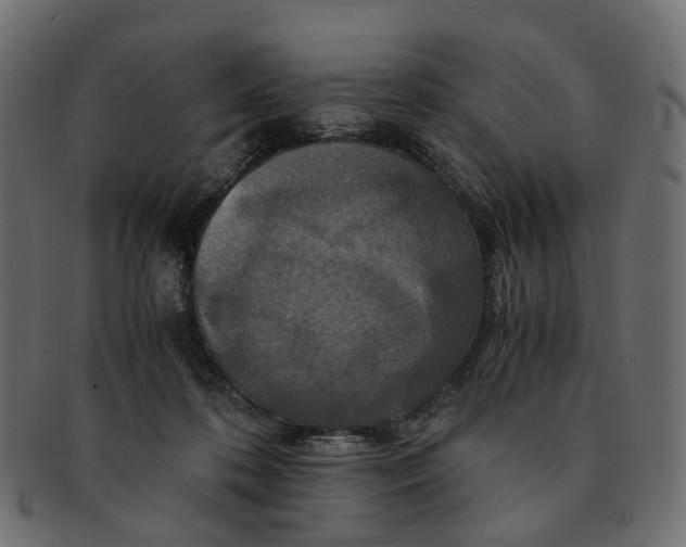 X0000091540316200709071110