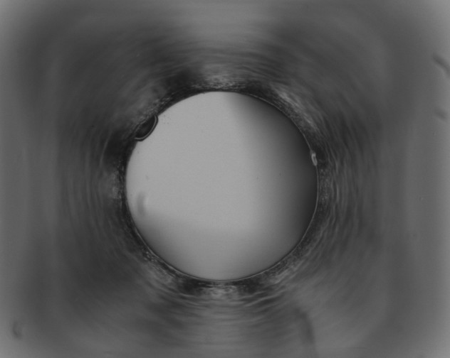 X0000091540317200709071110