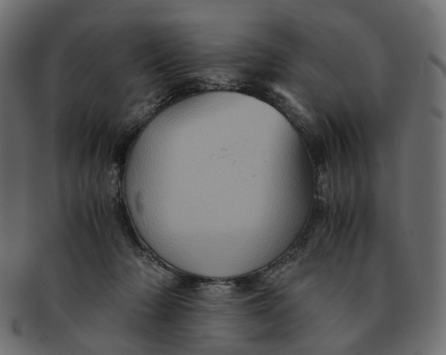 X0000091540318200709071110